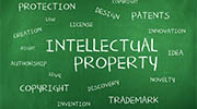 France intellectual property rights investigator